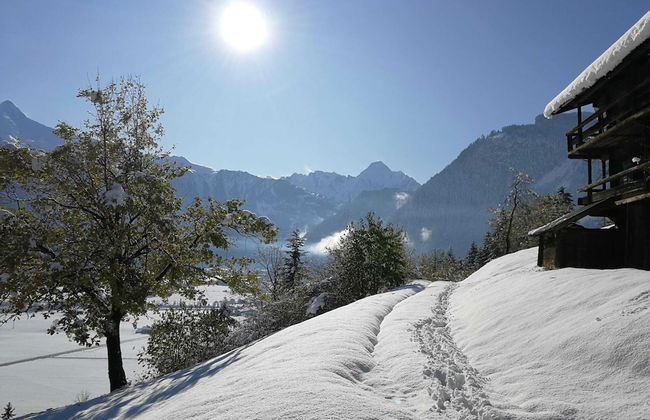 Apartment in Hippach Near Mayrhofen Ski Area - Foto 12