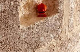 poetic house - Foto 14