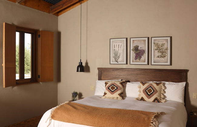 Alma Liebre Viñedos del Valle - Foto 11