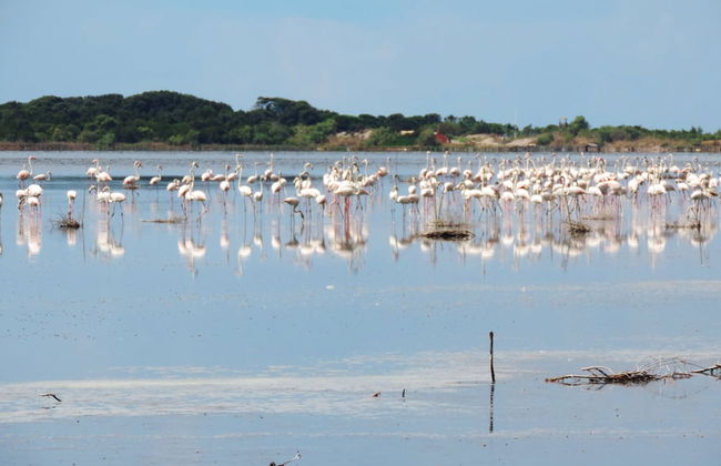 Villa Evanna - Foto 71