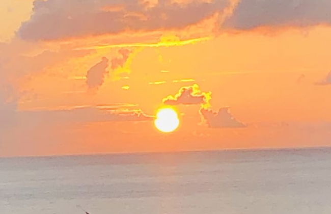 Castara Inn - Photo 72