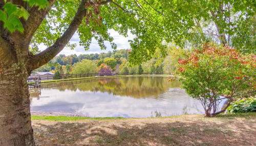 Meet Country Animals! Farmyard Stays Dundee Home - Foto 2