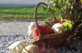 Holiday home Novak M - Foto 36