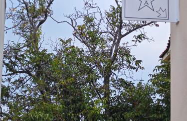 Home Ad Messinium - Foto 35