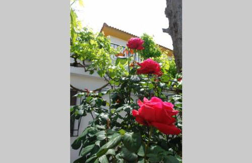 CampoParaíso Jaén-Casa Rural - Foto 33