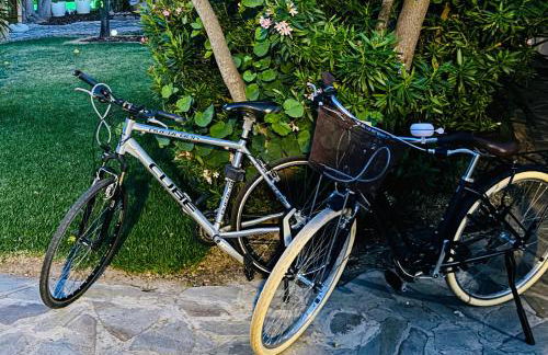 Casita Limón Andratx - Foto 11