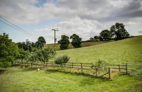 Little Barn - Foto 20