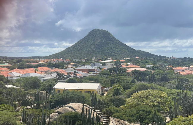 Remarkable 1-bed Apartment in Noord - Foto 40