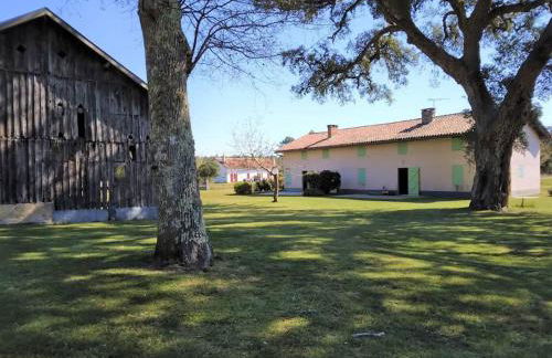 LE PETIT FROUAS SUD - Foto 8