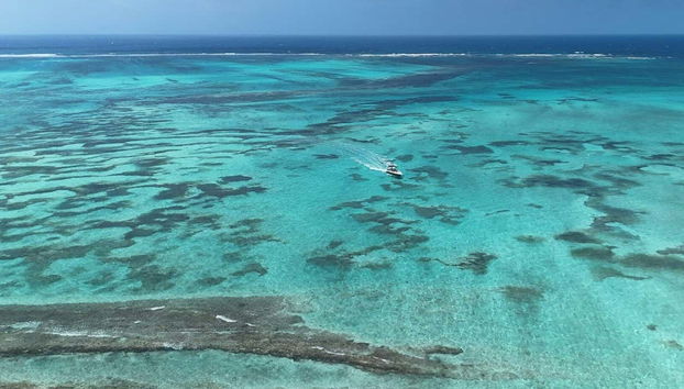 Fauna Coralina Snorkelling Activity - Foto 2