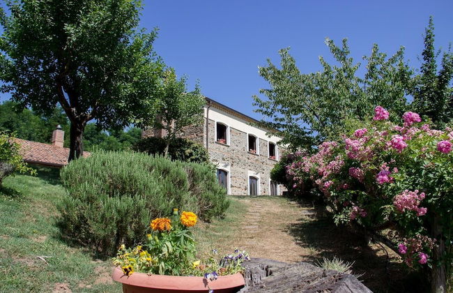 La Rosa Nel Bicchiere - Foto 51