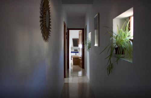 Golondrina - Foto 31