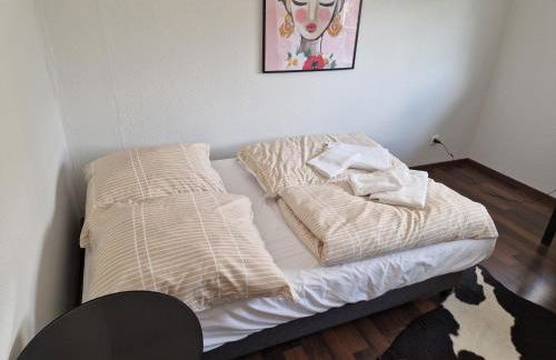 Comfortable and ideal for Frankfurt and surrounding area - Foto 12