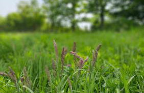 Srce Petrove gore - Foto 21