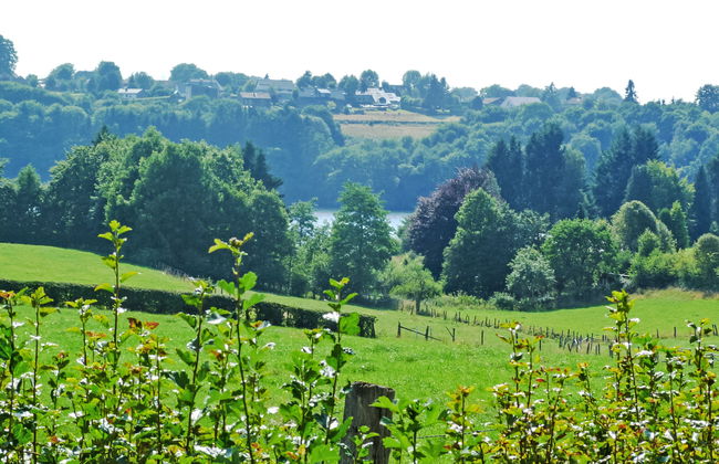2 bedroom House in Bütgenbach with garden and terrace - Photo 5