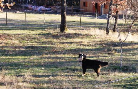 Eco Urbión - Foto 148