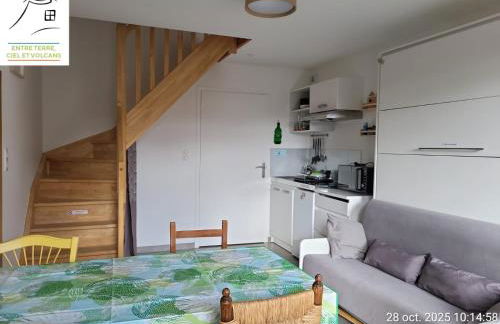 Gîte Terre - 1-4 pers, à 20 mins de Vulcania et du Puy-de-Dôme, 35 mins du Sancy - Foto 1