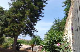 Crystal Green Holidays - Foto 23