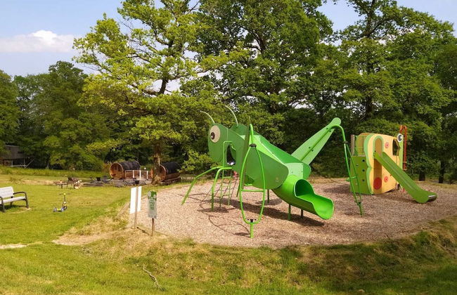 Etape en forêt - Foto 70