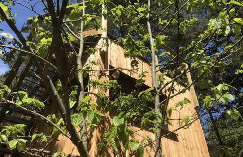 Holiday home under the trees - Photo 33