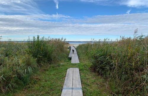 Eldenholz FeWo8 - Foto 17