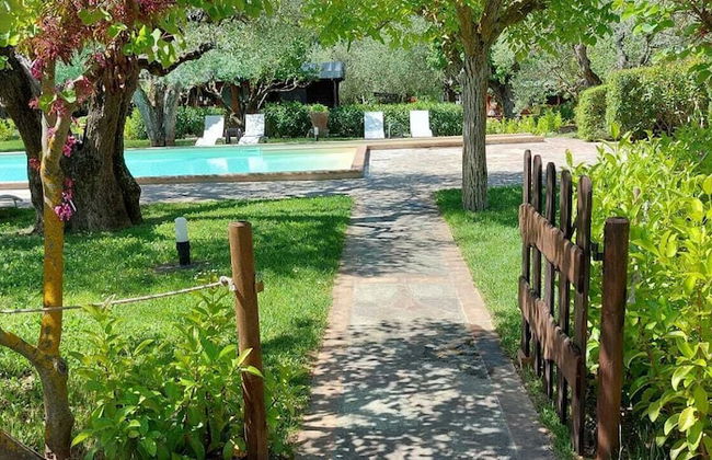 Buen Camino SSA - Foto 1