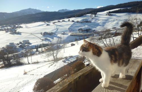 Pitznerhof - Foto 32