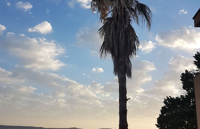 Sea star Danica - Foto 43