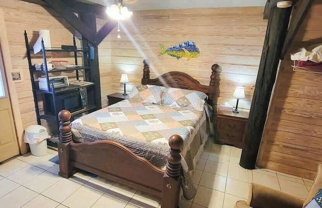 Fish Crazy House - Photo 7