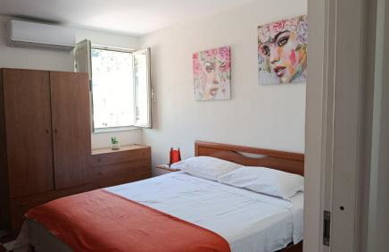 Timone - Foto 11