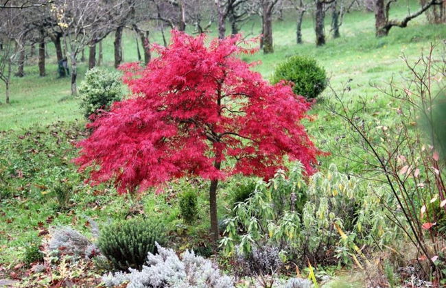 Villa in Mazamet With Private Pool - Foto 41