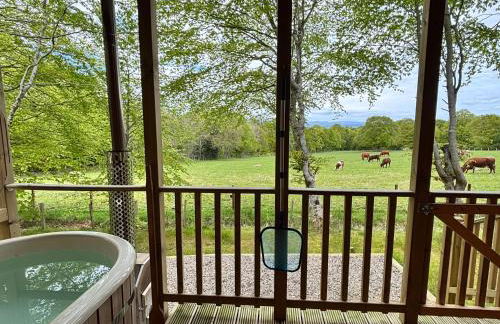 Breckland Lodge 3 with Hot Tub - Foto 28