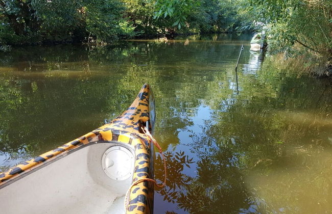 Haus Limosa Comfortable Holiday Residence - Foto 21