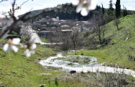 Oasis of CalmnessΕ - Foto 6