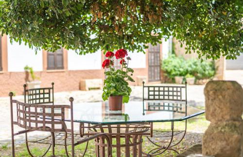 Moli dels Reis - Photo 29