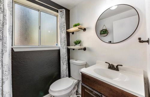 Blue Bird Beauty - Foto 11