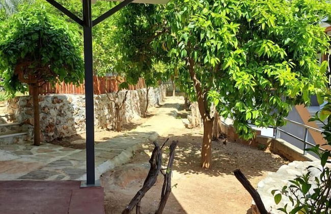 Tomris Apart - Foto 18