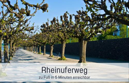 Rheinblick7 Neuss - Spektakulärer Blick auf die Düsseldorfer Skyline - Ruhig Modern Privatparkplatz Aufzug - Top Anbindung an Messe Flughafen Hauptbahnhof - Foto 31