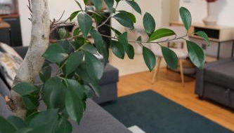 Charmant Appartement au Pré - Foto 5