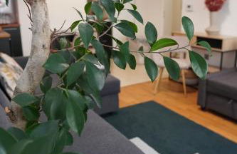 Charmant Appartement au Pré - Foto 5