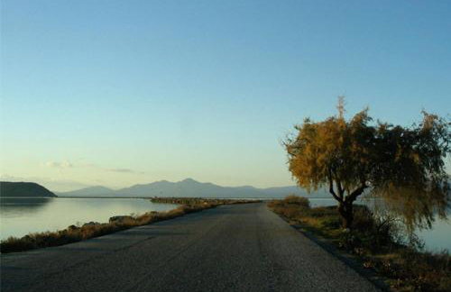 Koronisia Apartments - Foto 62