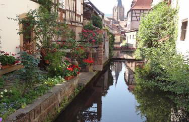 Ferienwohnung Rosentraum - Foto 26