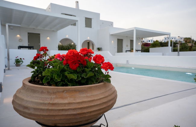Luxury Paradise Villa Odyssey In Paros - Foto 23