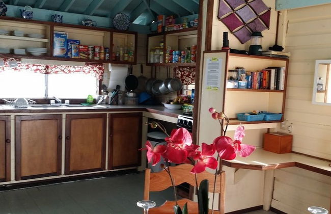 Bird Island Placencia - Foto 5