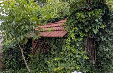 Badischer Neubau-Ruhe-Kunst-Natur - Foto 23