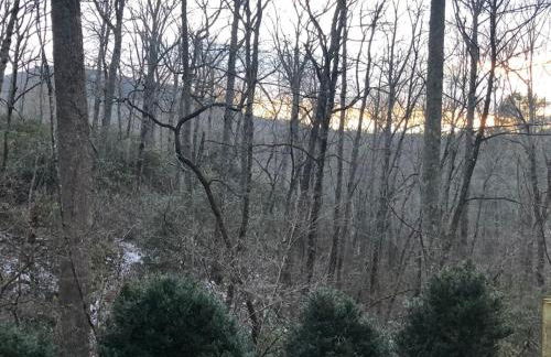 Glenna - Historic Cabin in the Florence Preserve - Foto 31