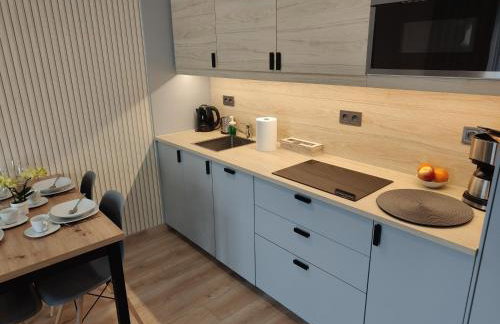 Karkonoska Miejscówka Apartament Szklarska Poręba Centrum Park - Foto 23