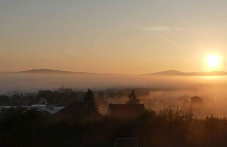 Bauernhof Nißl - Foto 53