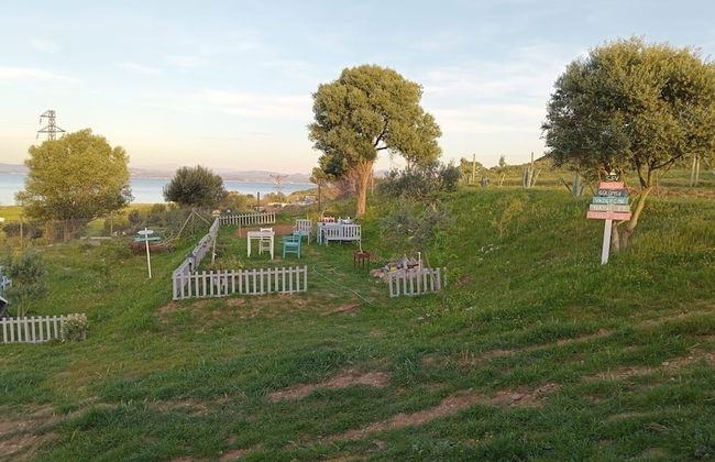 Zeus kır evi - Photo 74