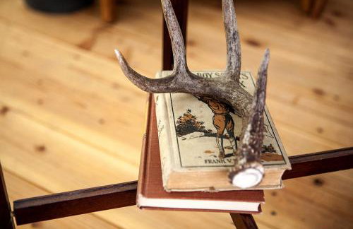 Stylish Camping Tents Set on an Organic Farm in Hudson Valley, New York State - Foto 4